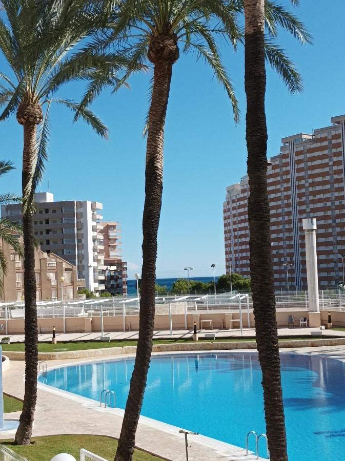 Apartament Almar Collection Cullera Bahia Park Zewnętrze zdjęcie